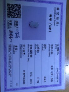 请鉴定一下真假,商场原3125的标价,翡翠a货,由于购物抽中一等奖此商品只需500就可带走,当时没